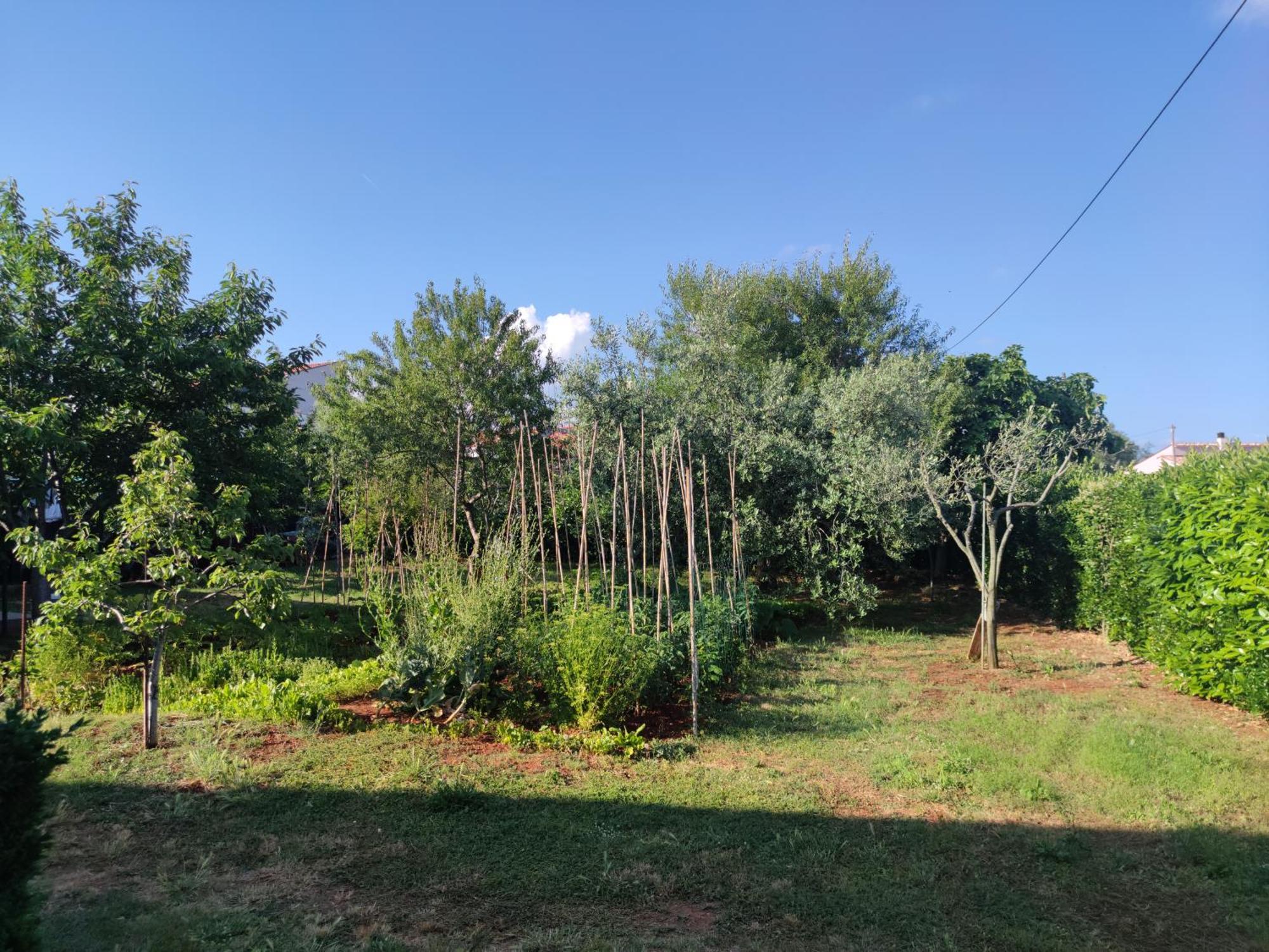 Spacious Apartment With Parking&Garden Marčana Pokoj fotografie